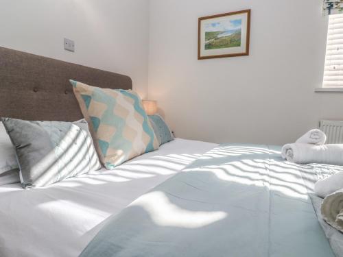 Kittiwake Cornwall - image 6