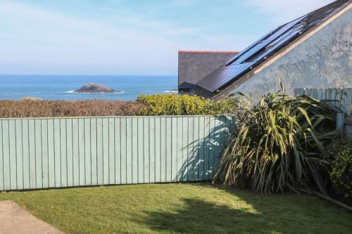 Kittiwake Cornwall - image 13