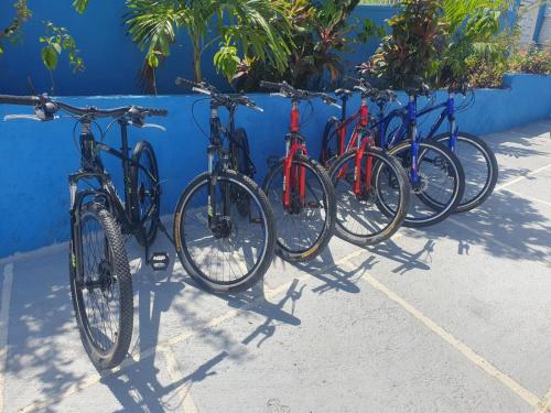 Deportes y ocio, Finn Room - Ferdie's Place in Port Antonio