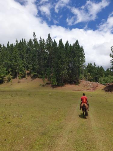 HeiAki Lodge Excursion Nukuhiva Chambre HeiAki in Marquesas Islands