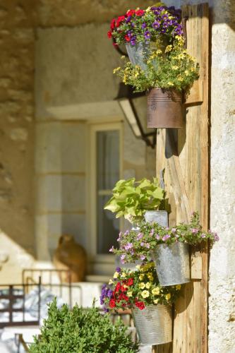 Le Mas Des Bories - Grand Perigueux - image 7