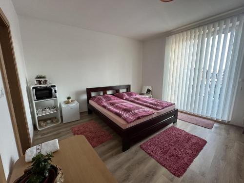 Ubytování u Medvěda (Ubytovani u Medveda) in Rokytnice V Orl. Horach