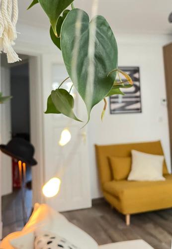 Stylish Central Apartment, Hamburk (fotografie 2)