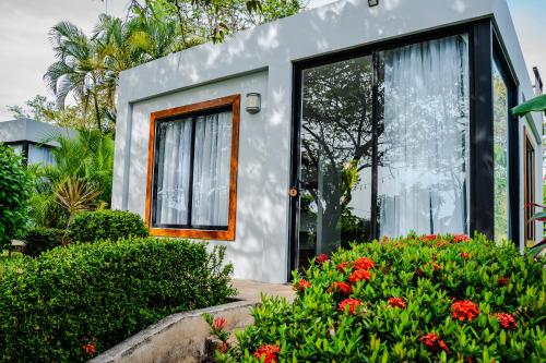The Bohemian Lagarto, Santa Cruz (fotografie 8)