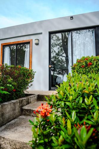 The Bohemian Lagarto, Santa Cruz (fotografie 10)