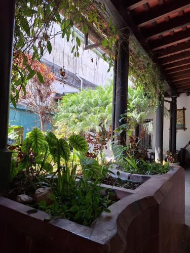 Hotel Spring, Guatemala (fotografie 6)