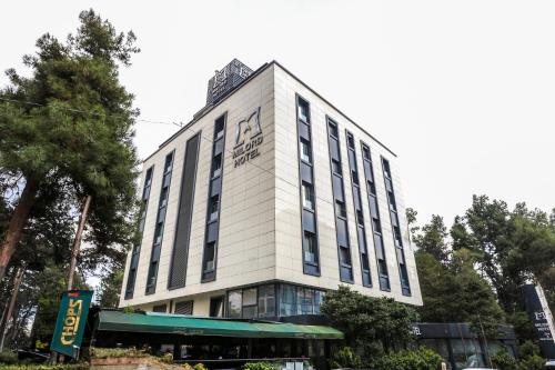 Milord Hotel - image 7