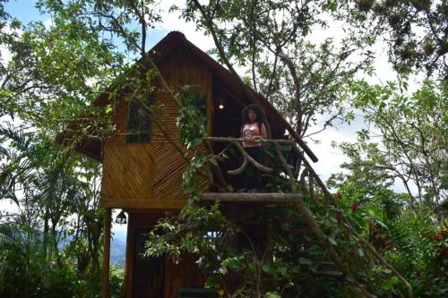 Guayabo Verde in Nanegalito