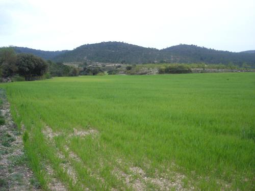 Casa Rural Masía Barbera