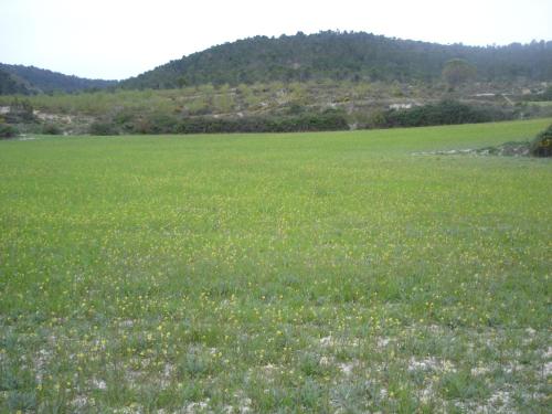 Casa Rural Masía Barbera