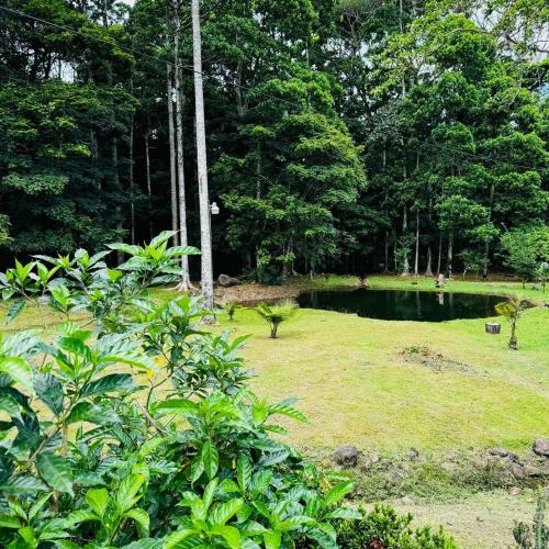Finca Celeny, Jiménez (zdjęcie 10)