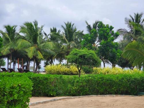 Beach Front Trinco - image 3