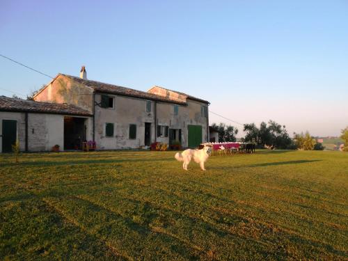 Viesnīcas āriene, Casal Ferriano in Piagge