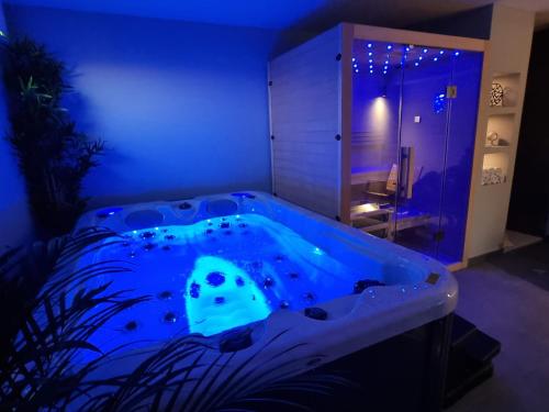 Hot tub, Aurelija Holiday Home in Popovaca