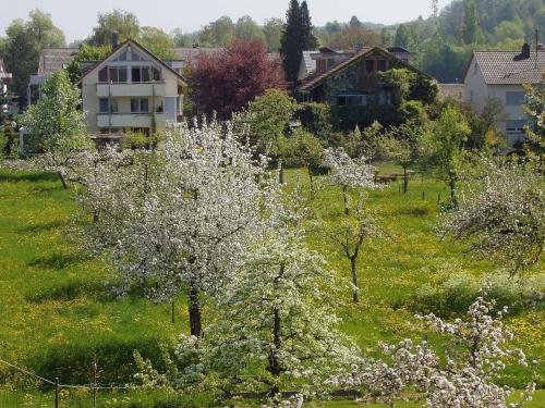 Gastehaus Lamprecht