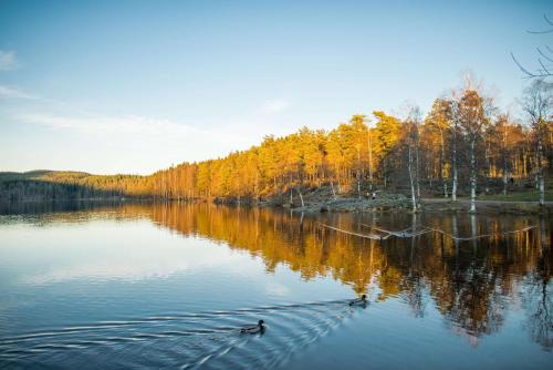 Olympiatoppen Sportshotel - Scandic Partner - image 2