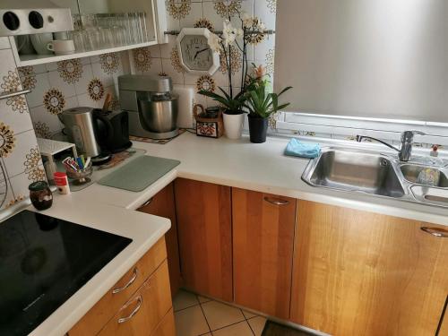 Appartement lumineux à 20mn de Paris en RER A (Appartement lumineux a 20mn de Paris en RER A) in Мезон-Лафітт
