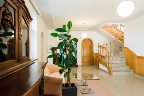 Buitenkant, Diófa Apartman (Diofa Apartman) in Keszthely City Center