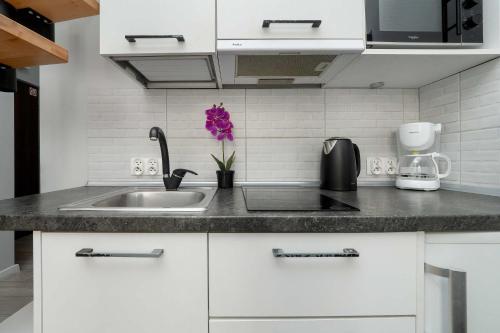 Cozy Studios Mielczarskiego with Mezzanine in Łódź by Noclegi Renters