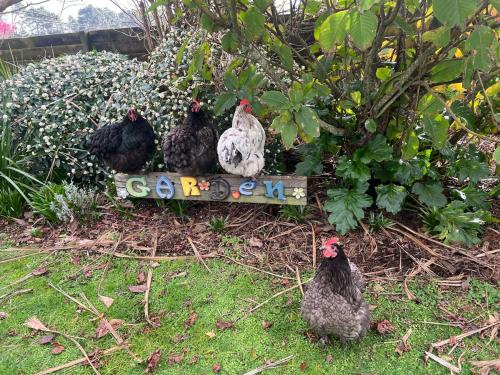 Tranquil Guest Suite New Plymouth in Bell Block