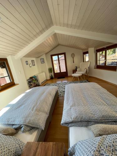 A Jump Into Morcote in Vico Morcote