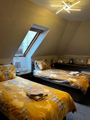 Acer Lodge Guest House - image 3