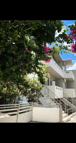 MOUZOURAKIs APARTMENTS in Viannos