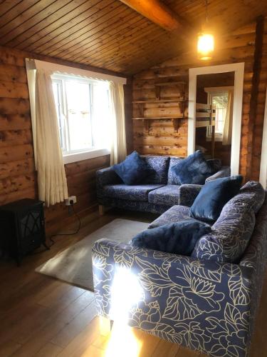 Misty Mountain Log Cabin - Trawsfynydd