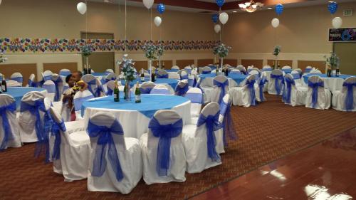 Romana Hotel - Houston Southwest - 연회장