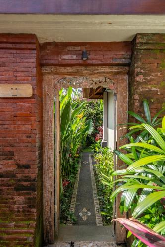 3 Beagles Ubud
