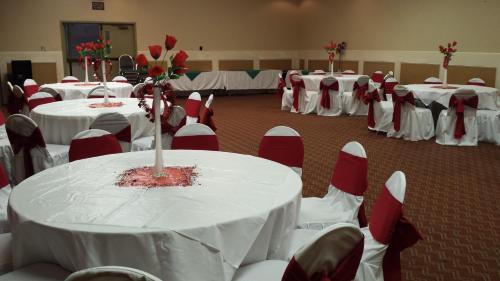 Romana Hotel - Houston Southwest - 연회장