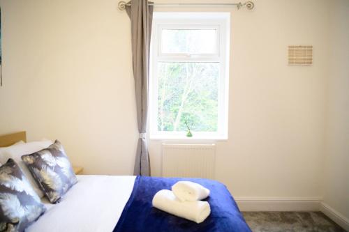 Aqua Springs, 2 BR, Sofa Bed, Sleeps 6, 1st floor apartment, near Didsbury, Manchester (photo 11)