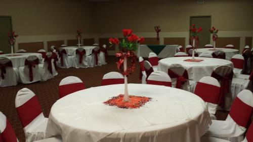 Romana Hotel - Houston Southwest - 연회장