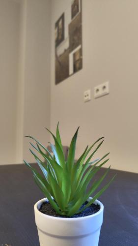 Apartment for 2 guests in Geesthacht