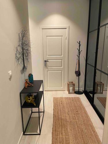 Long og sort term rental right in the city center Fredrikstad