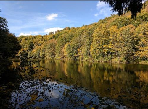 LOVELY apartman for 6guest Forest Park 10minutes from center, Bratysława (zdjęcie 8)
