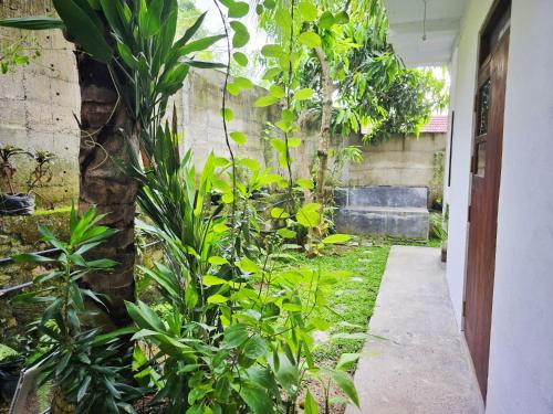 Star Hill Villa - image 2