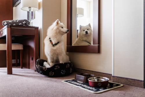 Hotel Kossak - image 14