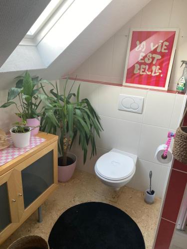 Ferienwohnung Sonnenschein in Bliesmengen-Mandelbachtal