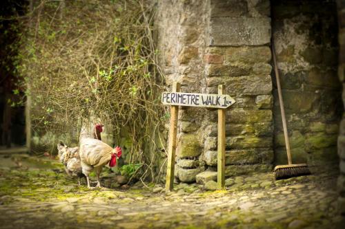 Roundwood House - image 14