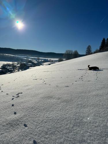 Le belvédère des deux lacs (Le belvedere des deux lacs) in Brey-et-Maison-du-Bois