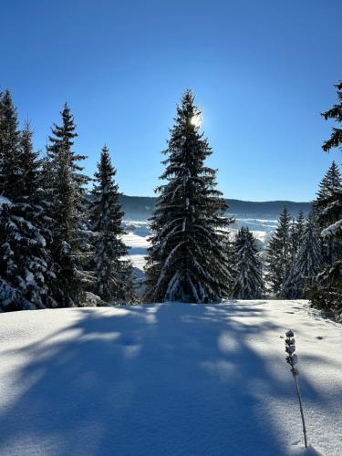 Le belvédère des deux lacs (Le belvedere des deux lacs) in Brey-et-Maison-du-Bois