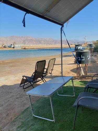 קראוון בלגונה, Eilat (photo 3)