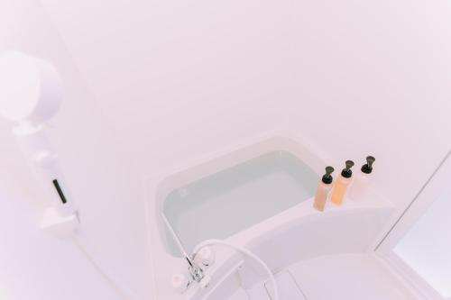 mist - house with outdoor private Sauna, Osaka (zdjęcie 7)