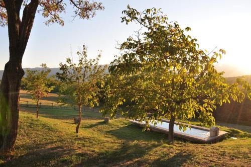 La Collina Tuscan stone cottage