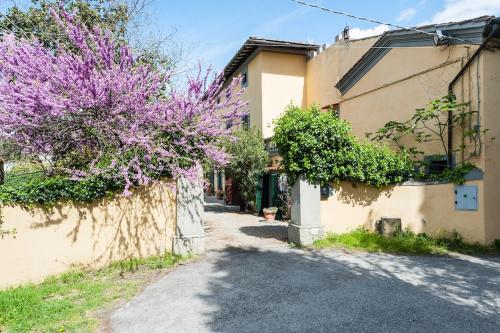 Villa Sofia 1714, Marti (foto 8)
