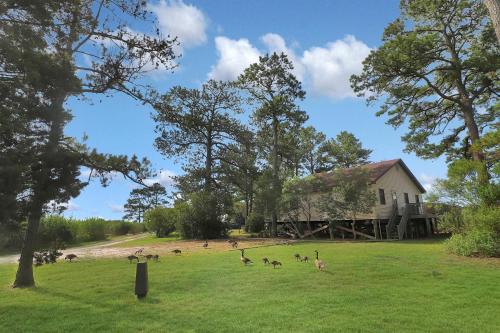 Shady Grove - Water views, Fireplace!