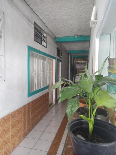 Hotel Libramiento Puerto Vallarta in Пуерто Валярта