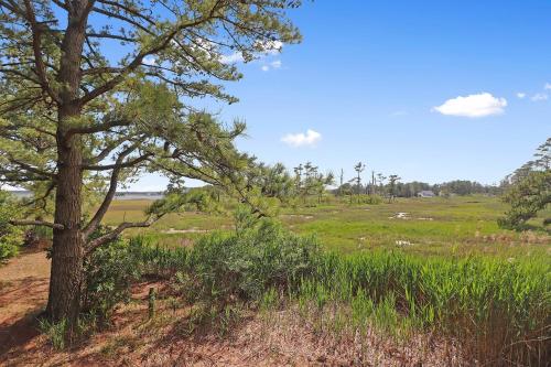Shady Grove - Water views, Fireplace! Shady Grove - Water views, Fireplace!