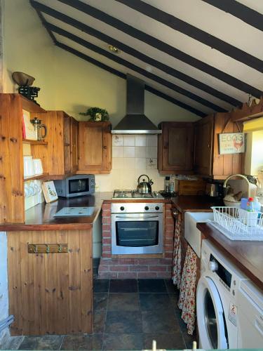 Quiet cottage on the rural edge of Brixham in 徹斯頓費勒斯